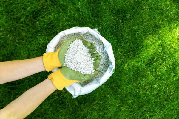 Effective Weed Control for Lawns